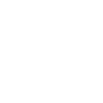 Reptile