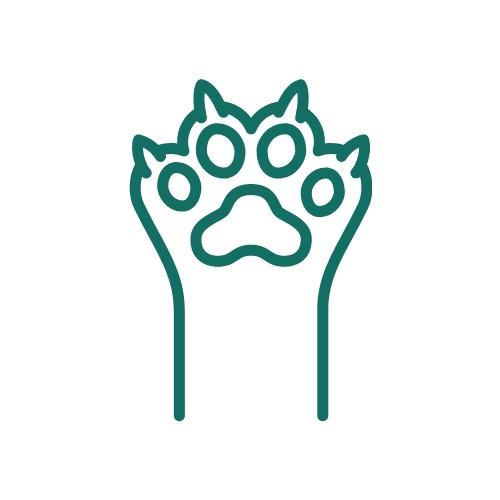 Poot- & nagelverzorging