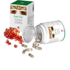 Anti-Ox 30 gélules