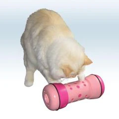 Pipolino chat