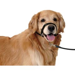 Flamingo  Easy Leader Noir - M  29X20X1,5 