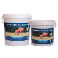 MSE ELEVAGE