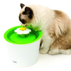 Ca 2.0 Abreuvoir Avec Fleur 3l