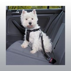 Harnais de sécurité pour auto