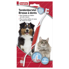 Beaphar Brosse À Dents