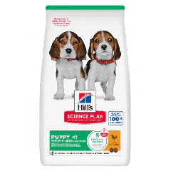 Hill's Science Plan Medium Puppyvoer met Kip 800 g