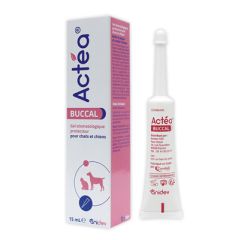 Actea Buccal 15 ml