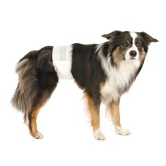 Trixie Couches Pour Chiens Mâles M-l 12 Pcs