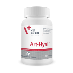 Art-Hyal 90 Comprimés