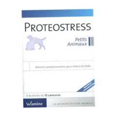 Proteostress petits animaux 3x12 Capsules