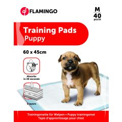 Trainingsmat Pady M 40st 60x45cm