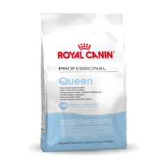 Royal Canin Queen 34 pour chat 4kg