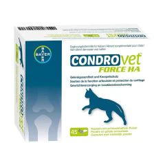 Condrovet Chat