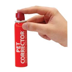 Pet Corrector
