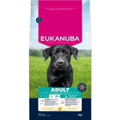 Eukanuba Adult Large Breed Croquettes pour Chien aux Poulet