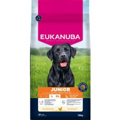 Eukanuba Junior Large Breed Hondenvoer met Kip 12kg