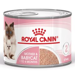 Royal Canin Mother & Babycat Mousse en Boîtes pour Chat et Chaton 12x195g