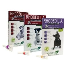 RHODEO L.A. Chien
