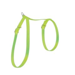 Harnais Nylon uni pour chat
