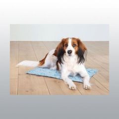 Matelas Rafraichissant