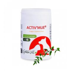 ACTIV'MUE