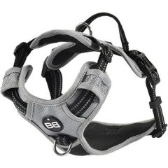 Bobby Harnais pour Chien Rando Pieds Gris M