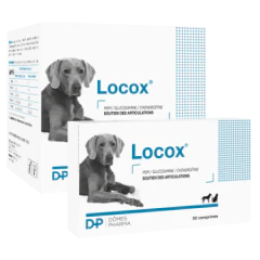 Locox Comprimés