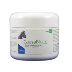 Capsa-Block 200g