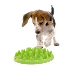 Gamelle Anti Glouton Northmate Green Karlie