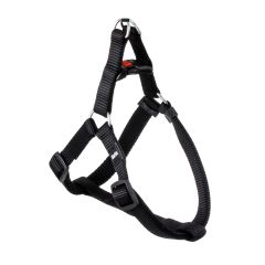 Harnais Step & Go Ziggi Noir 60-90cm 20mm