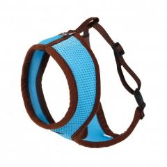 Harnais et laisse pour chat