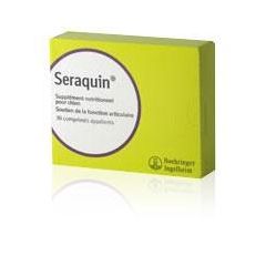 Seraquin Chien