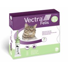 Vectra Felis