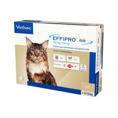 Effipro Duo Chat 4 pipettes
