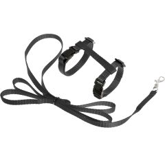 Harnais Pour Chatons + Laisse Ziggi Noir 120cm 10mm