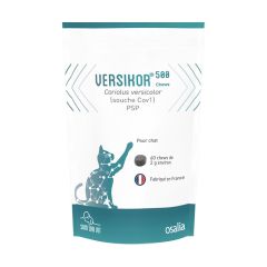 Versikor 500 Aliment Complémentaire pour Chat 60 Bouchées