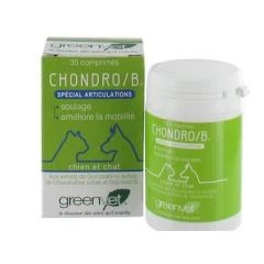CHONDRO/B