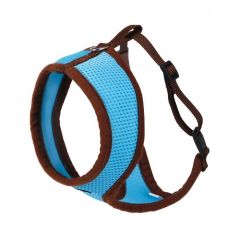 Harnais et laisse pour chat