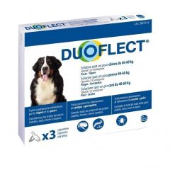 Duoflect Chien Géant