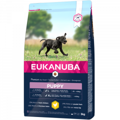 Eukanuba Puppy & Junior Large Breed pour chien 12kg