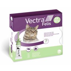 Vectra Felis