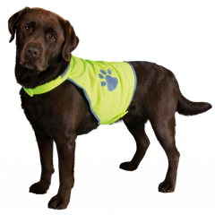 Gilet de Sécurité Fluo