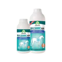 Balsamic Air