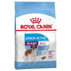 Royal Canin Giant Junior Active pour chien 15kg