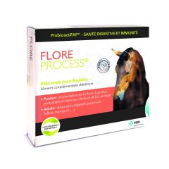 FLORE PROCESS Cheval 5 seringues de 20 ml