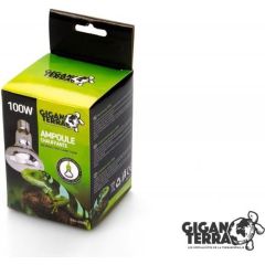 Giganterra Ampoule Chauffante 100 Watt