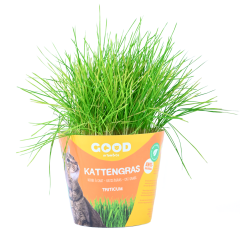 Good Tom&co Herbe À Chat Friandises De Récompense