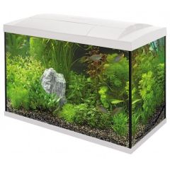 Superfish Start 100 Tropical Kit Wit Aquarium