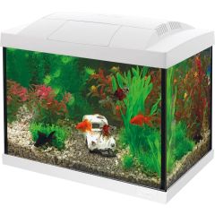 Superfish Start 20 Goldfish Kit Wit Aquarium
