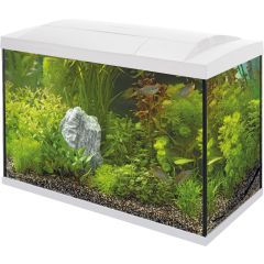 Superfish Start 70 Tropical Kit Wit Aquarium
